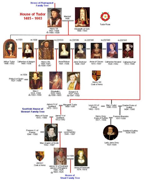 Tudor Royal Family Tree: A Full Lineage of the House of Tudor